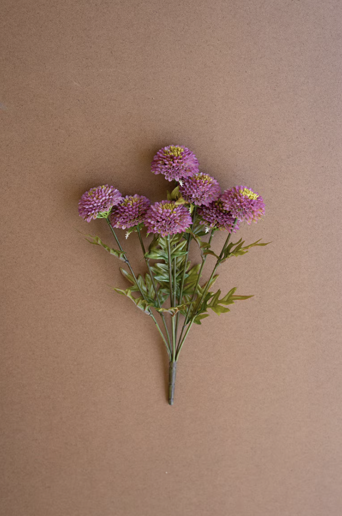 Purple Dahlias