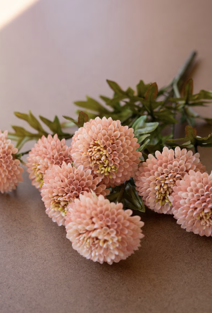 Light Pink Dahlias