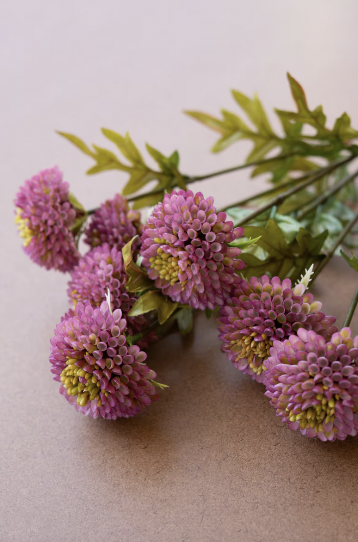 Purple Dahlias