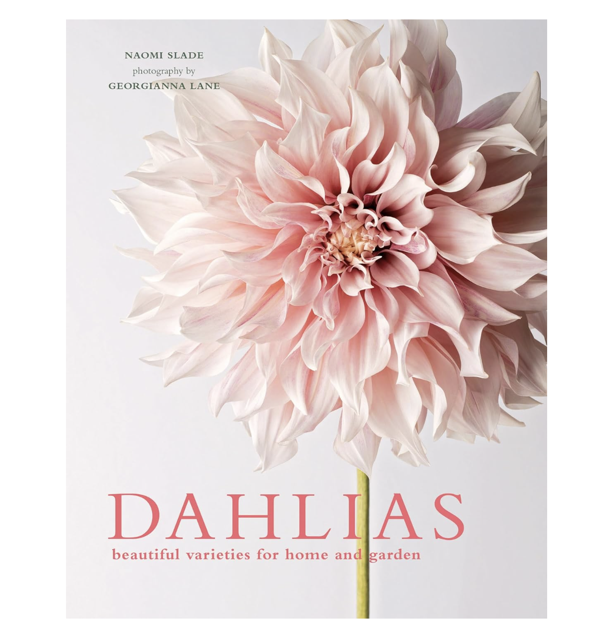 Dahlias: Beautiful Varieties for Home & Garden