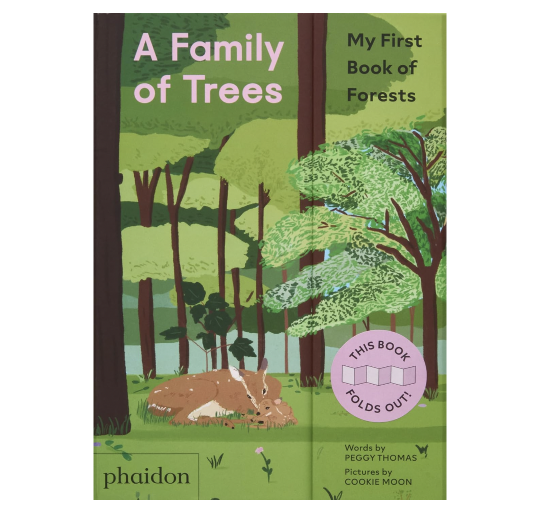 A Family of Trees: My First Book of Forests Board Book