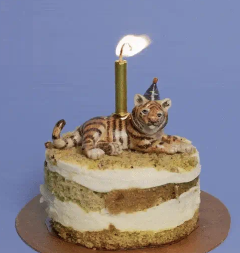 Tiger Cake Topper