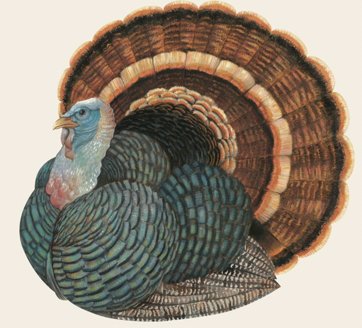 Heritage Turkey Cocktail Napkins