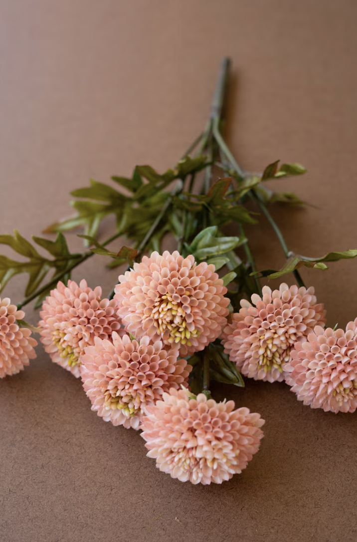 Light Pink Dahlias