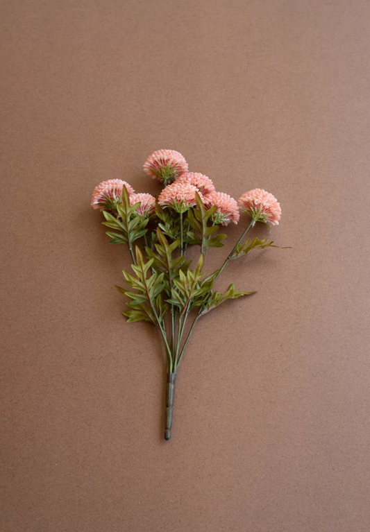 Light Pink Dahlias