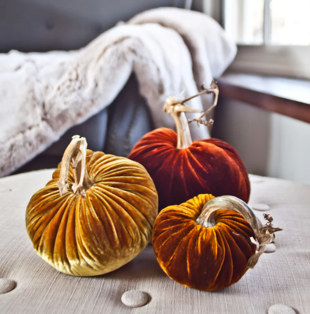 Apricot Plush Pumpkins